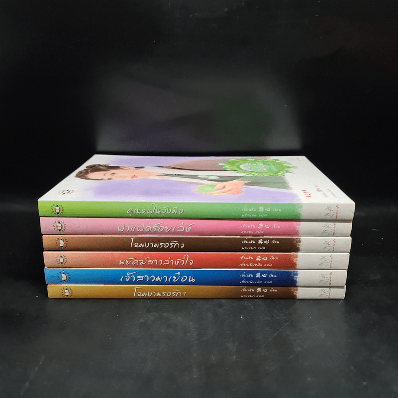 นิยายแจ่มใส Boxset ชุด เรือนพิทักษ์ใจ 6 เล่ม