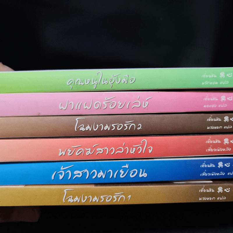 นิยายแจ่มใส Boxset ชุด เรือนพิทักษ์ใจ 6 เล่ม