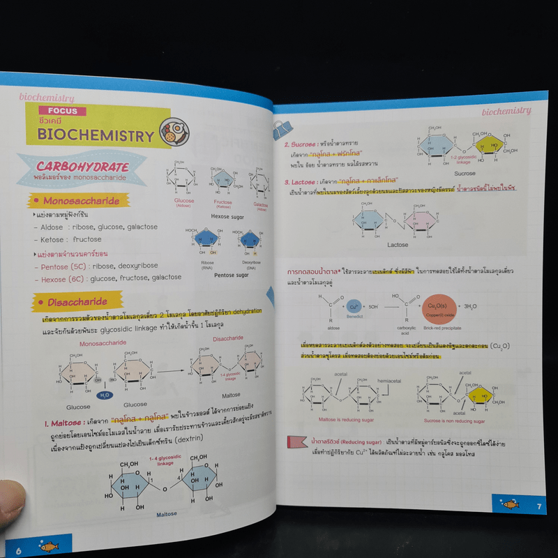 Biofocus สรุปเนื้อหาชีววิทยา - อ.นภัทร ปราบมีชัย