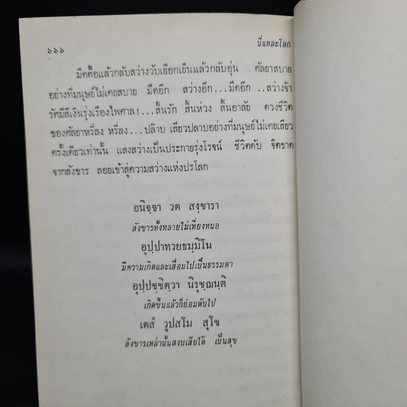 นี่แหละโลก (ฉบับพิมพ์ พ.ศ.2516) - ดอกไม้สด