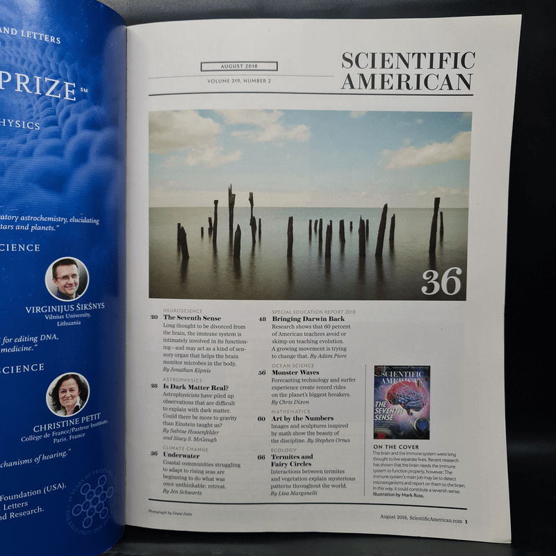 Scientific American Aug 2018