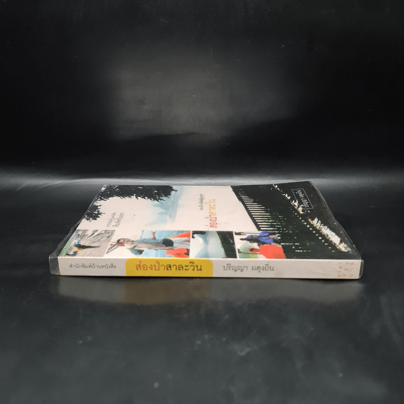 ส่องป่าสาละวิน - ปริญญา ผดุงถิ่น