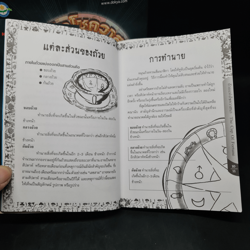 ถ้วยแห่งโชควาสนา : THE CUP OF FORTUNE - TASSEOGRAPHY