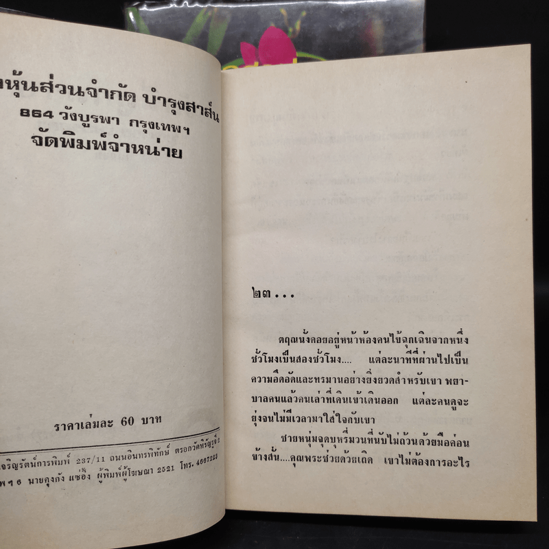 รักที่ถูกสาป 2 เล่มจบ - รุ้งพลาย เพชรลดา