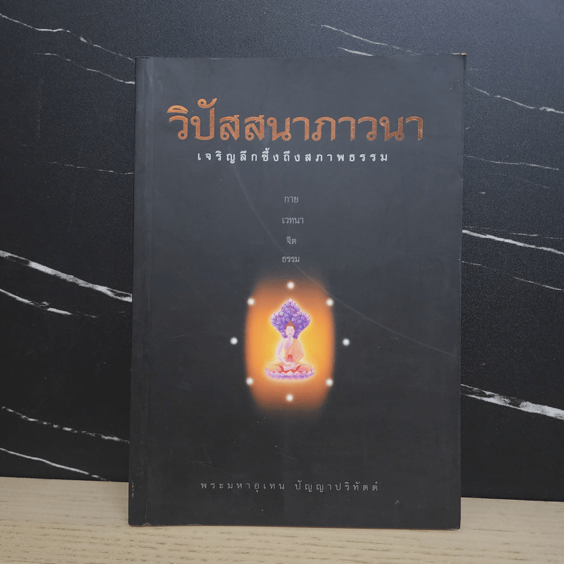 วิปัสสนาภาวนา - พระมหาอุเทน ปัญญาปริทัตต์