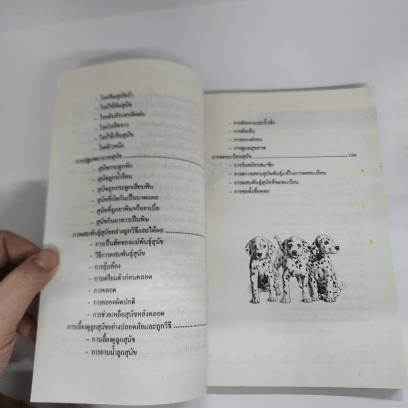 คู่มือเลี้ยงสุนัขให้เชื่อง และสวยงาม หมา&ด็อก