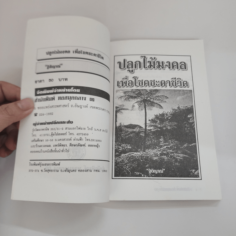 ปลูกไม้มงคล เพื่อโชคชะตาชีวิต - ฐิติญาณ