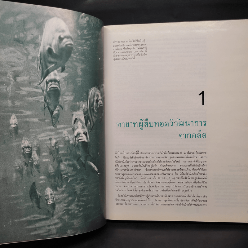 ปลา - หนังสือชุดธรรมชาติของไลฟ์