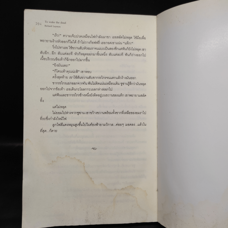 คืนชีพมัมมี่กระตุกขวัญ To Wake the Dead - Richard Laymon