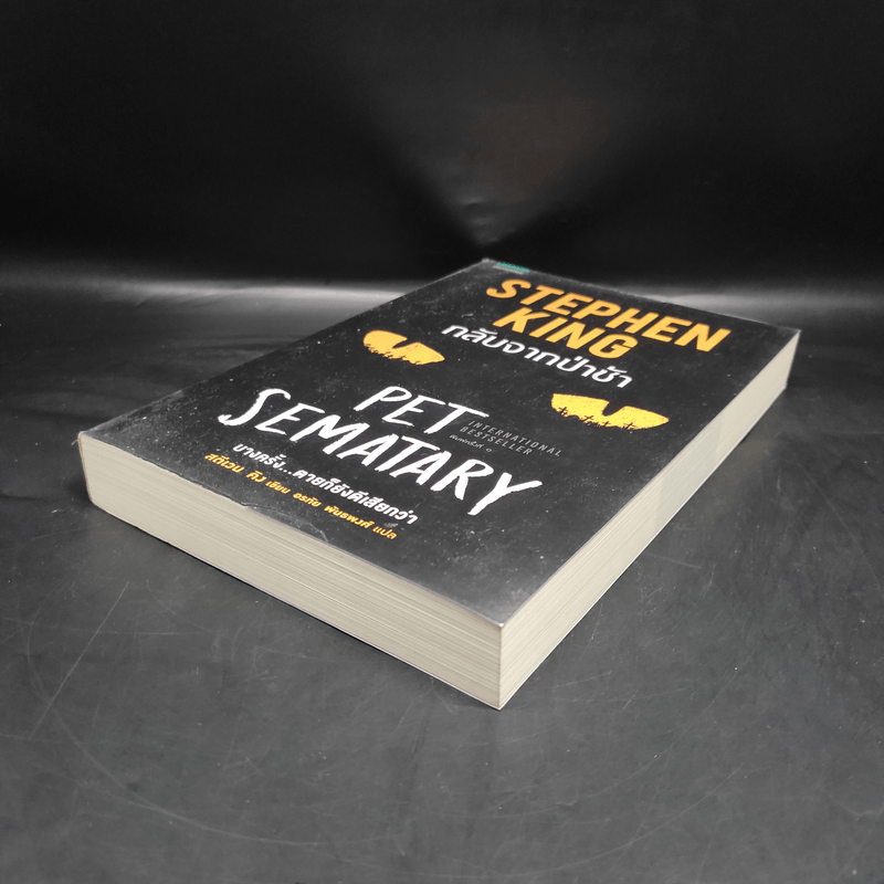 กลับจากป่าช้า PET SEMATARY - สตีเวน คิง (Stephen King)