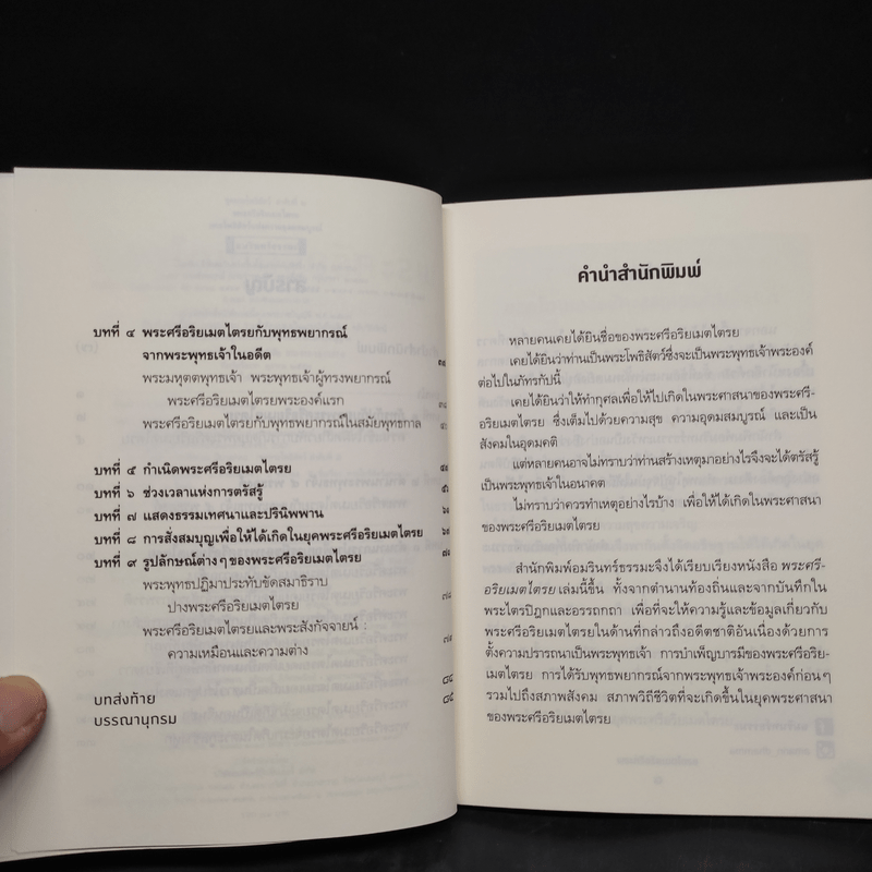 พระศรีอริยเมตไตรย พระโพธิสัตว์แห่งความอุดมสมบูรณ์