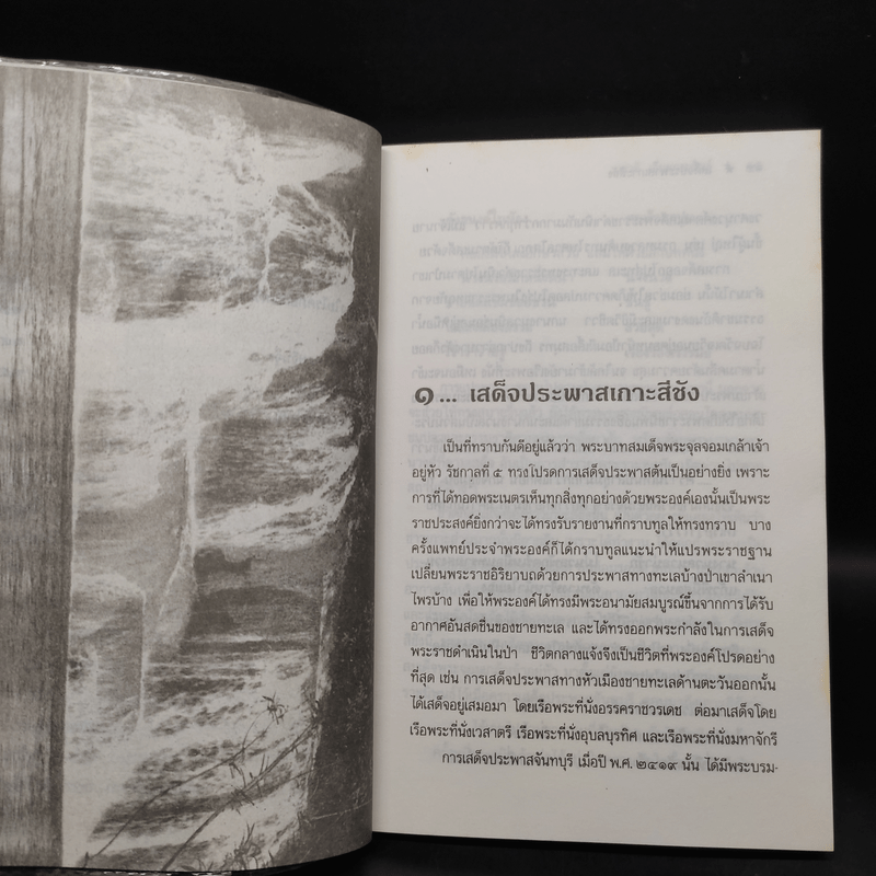 เมื่อพระพุทธเจ้าหลวงนิยมไพร - ชาลี เอี่ยมกระสินธุ์