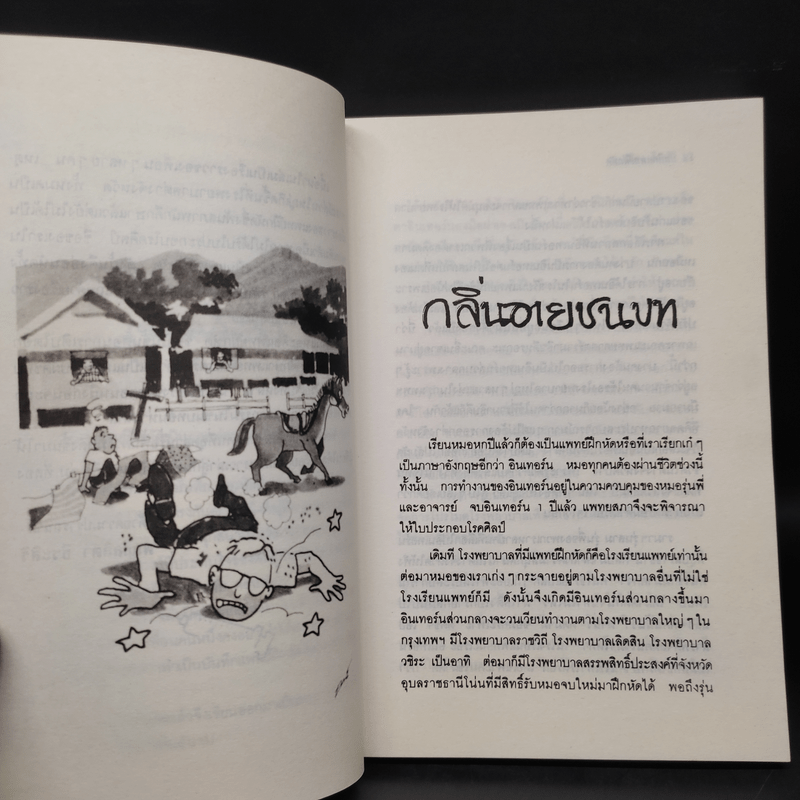 บันทึกแพทย์ฝึกหัด - พญ. ลลิตา ธีระสิริ