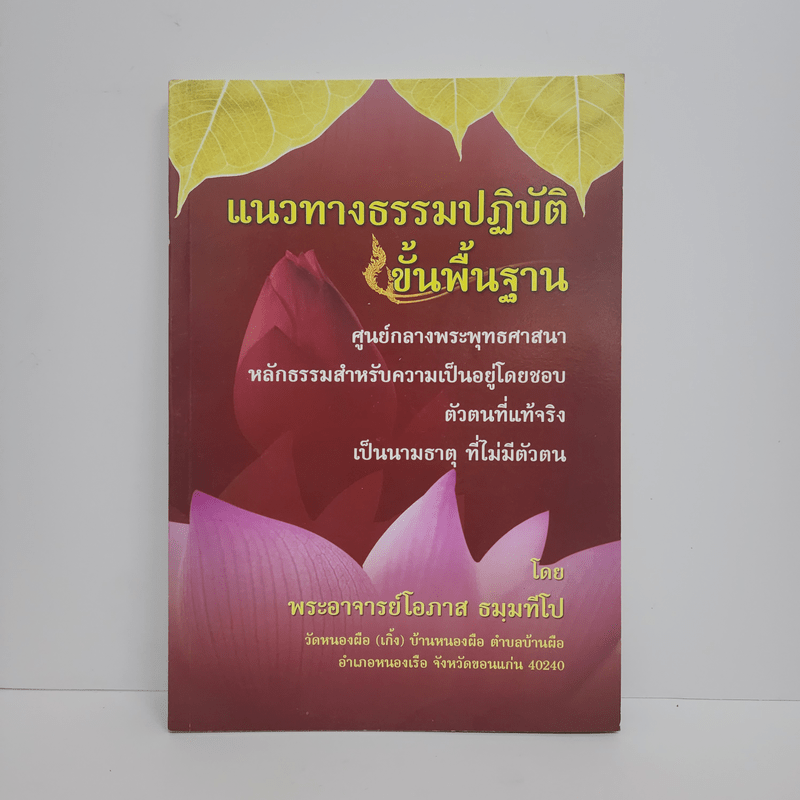 แนวทางธรรมปฏิบัติ ขั้นพื้นฐาน - พระอาจารย์โอภาส ธมมทีโป