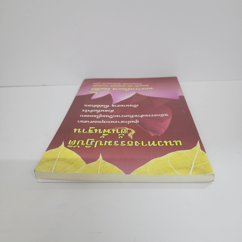 แนวทางธรรมปฏิบัติ ขั้นพื้นฐาน - พระอาจารย์โอภาส ธมมทีโป