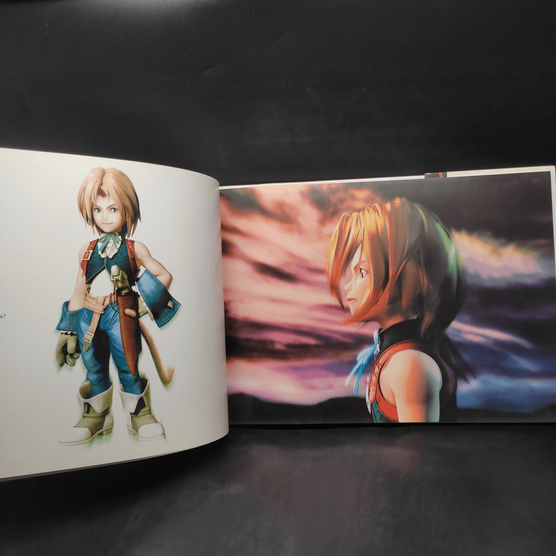 Final Fantasy IX Visual Arts Collection