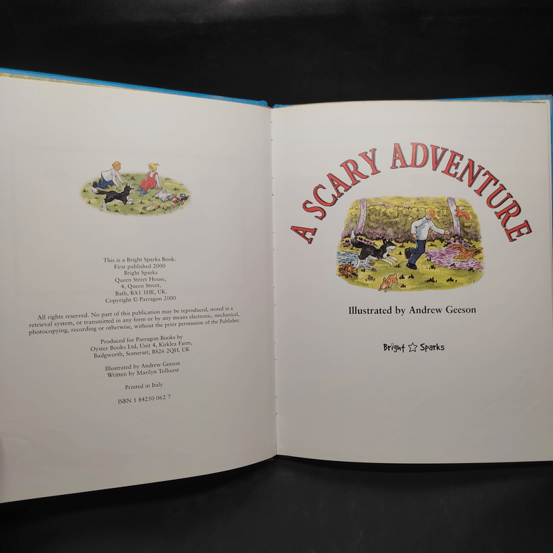 A Scary Adventure - Andrew Geeson