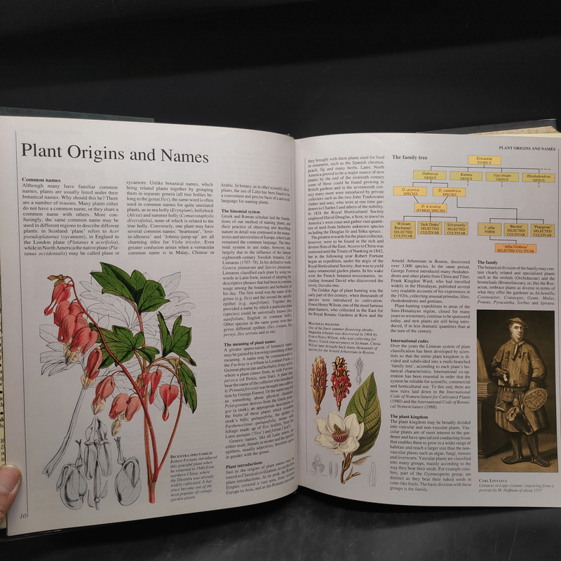 GARDENERS' ENCYCLOPEDIA OF PLANTS AND FLOWERS