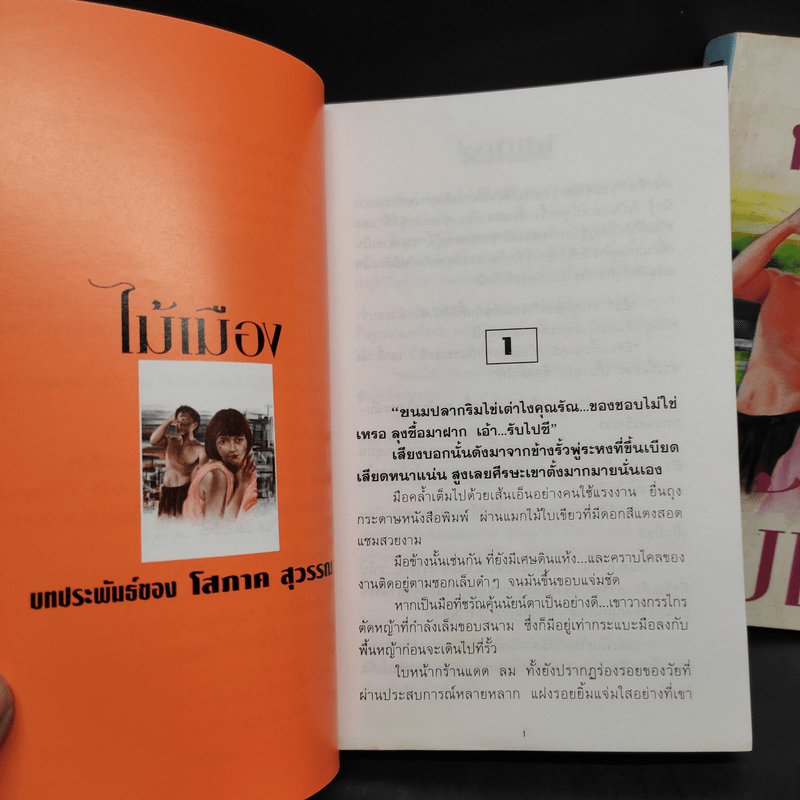 ไม้เมือง 2 เล่มจบ - โสภาค สุวรรณ