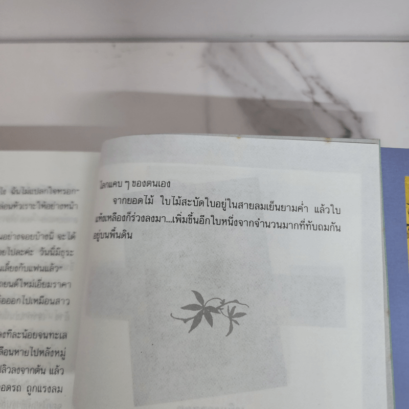 ใบไม้ร่วง - ว.วินิจฉัยกุล