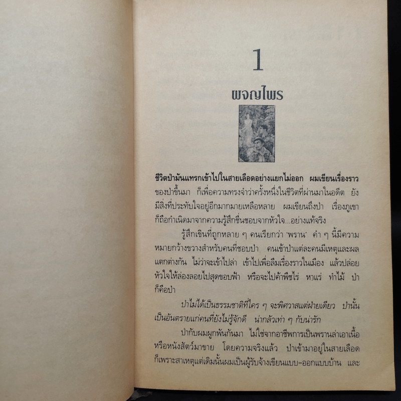 ผจญไพร - สังคีต จันทนะโพธิ