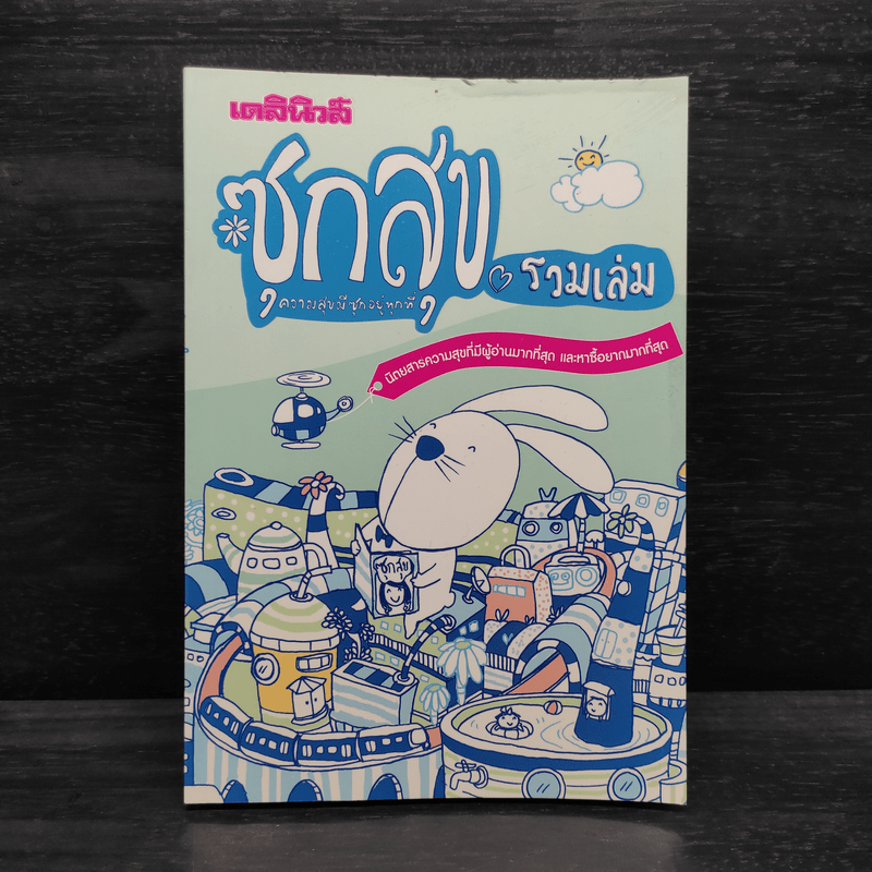 ซุกสุข รวมเล่ม - สุรศักดิ์ กาญจนภูษิต