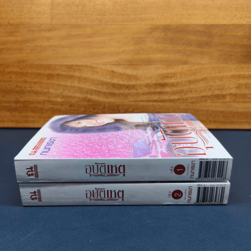 ✔️อุบัติเหตุ 2 เล่มจบ - กนกเรขา