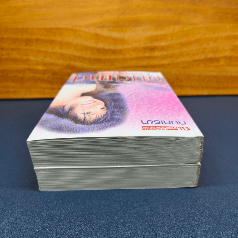 ✔️อุบัติเหตุ 2 เล่มจบ - กนกเรขา