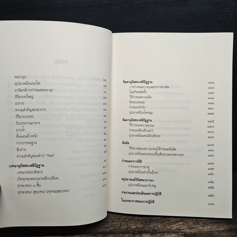 วิปัสสนาภาวนา เจริญลึกซึ้งถึงสภาพธรรม - พระมหาอุเทน ปัญญาปริทัตต์