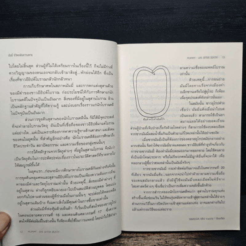  มัมมี่ ชีวิตหลังความตาย - Dinosaur (เด็ก)