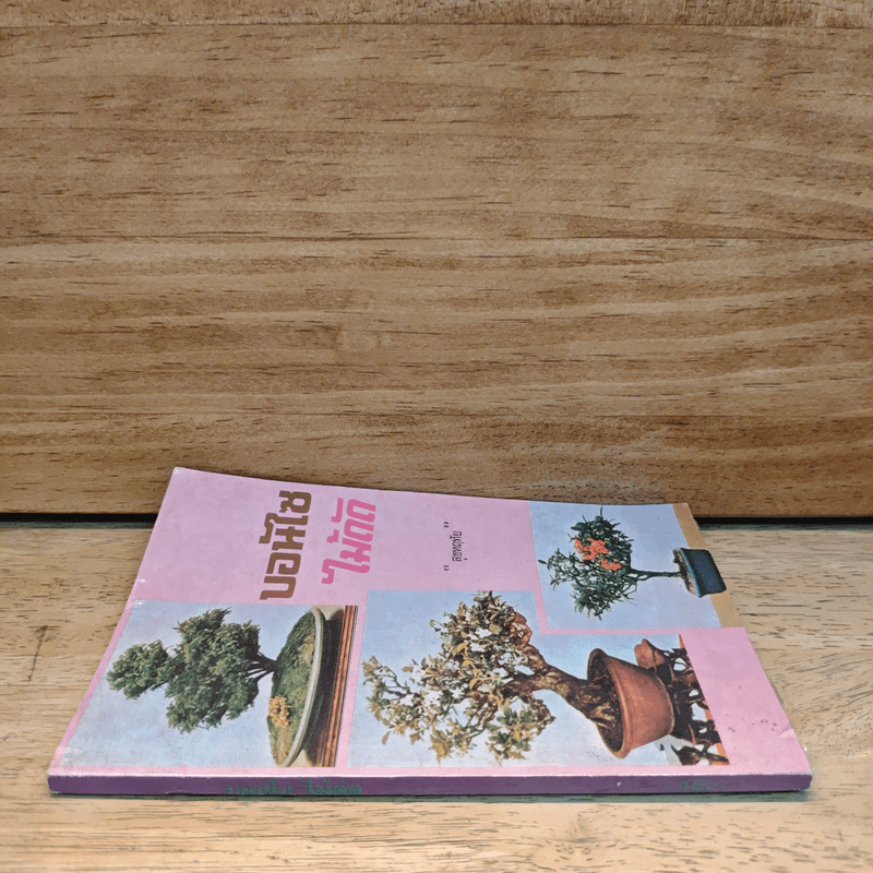 บอนไซไม้ดัด - สุขหฤทัย