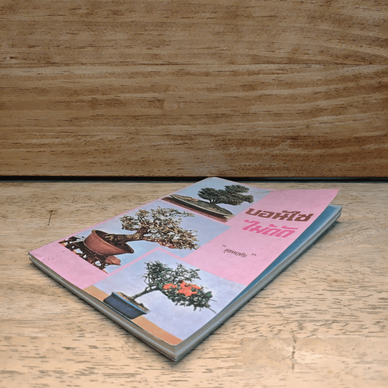 บอนไซไม้ดัด - สุขหฤทัย