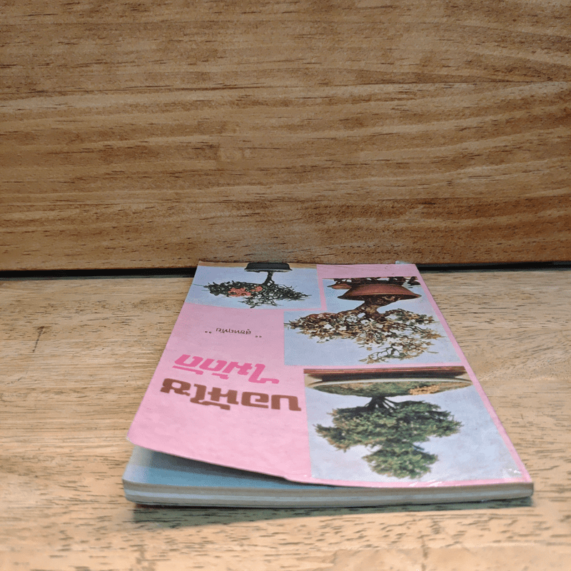 บอนไซไม้ดัด - สุขหฤทัย