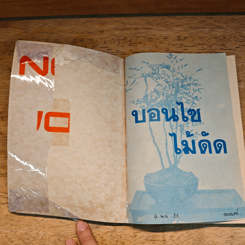 บอนไซไม้ดัด - สุขหฤทัย