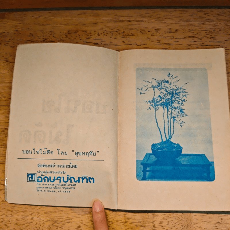 บอนไซไม้ดัด - สุขหฤทัย