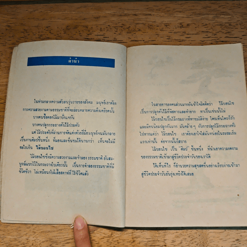 บอนไซไม้ดัด - สุขหฤทัย