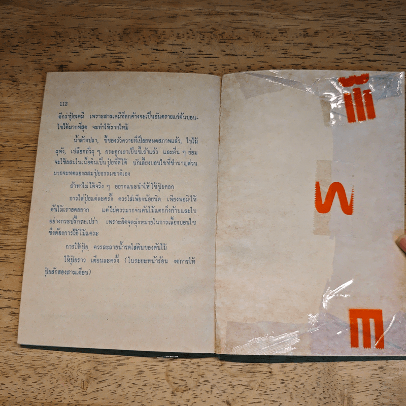 บอนไซไม้ดัด - สุขหฤทัย