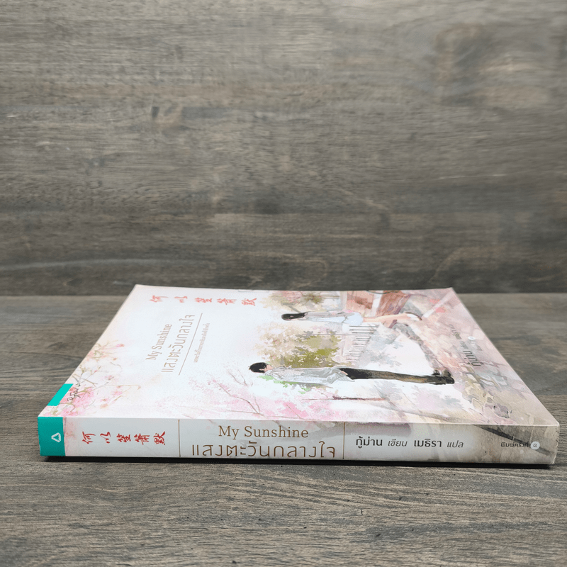 My Sunshine แสงตะวันกลางใจ - กู้ม่าน