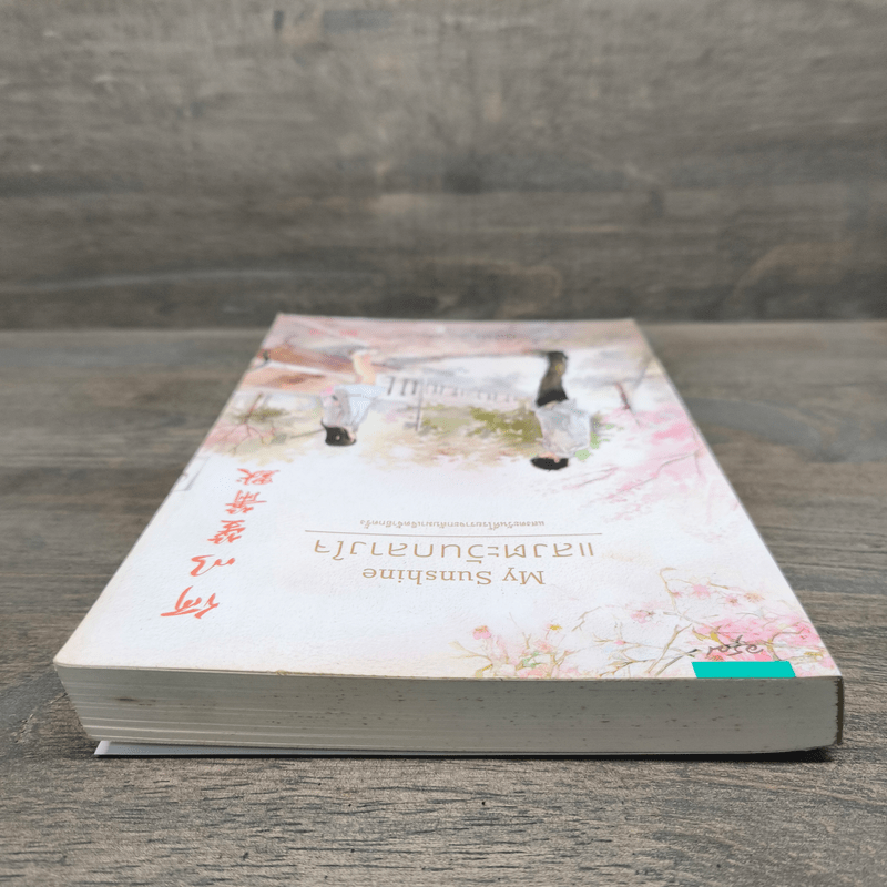 My Sunshine แสงตะวันกลางใจ - กู้ม่าน