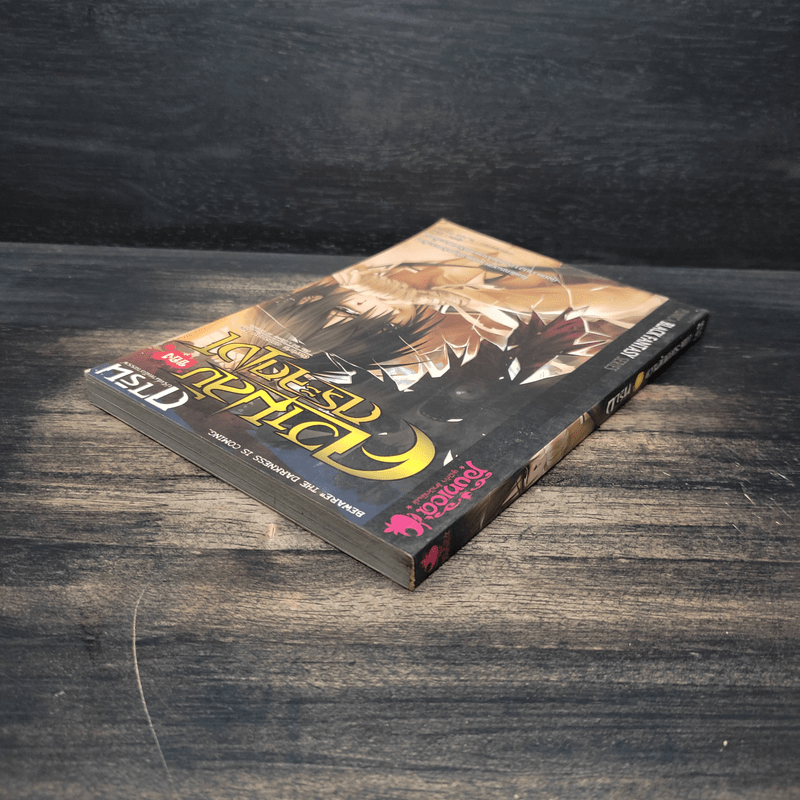 การิน ปริศนาคดีอาถรรพ์ เล่ม 4 ความลับของกระจกเงา