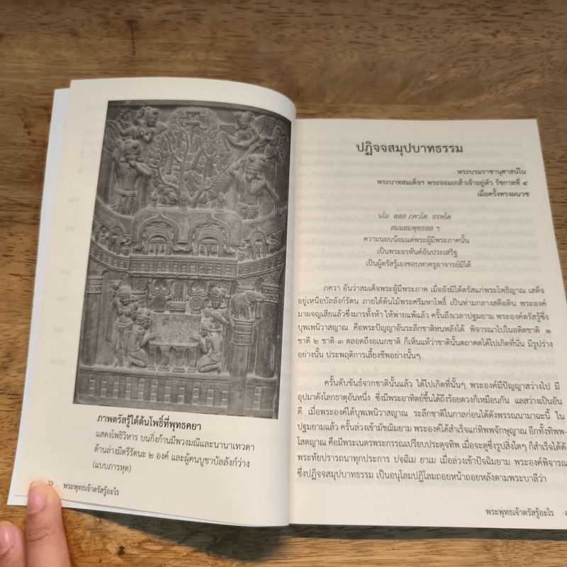 พระพุทธเจ้าตรัสรู้อะไร - วชิรญาณภิกขุ