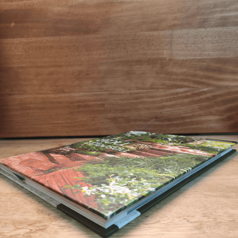 สวนเมืองร้อน Tropical Garden