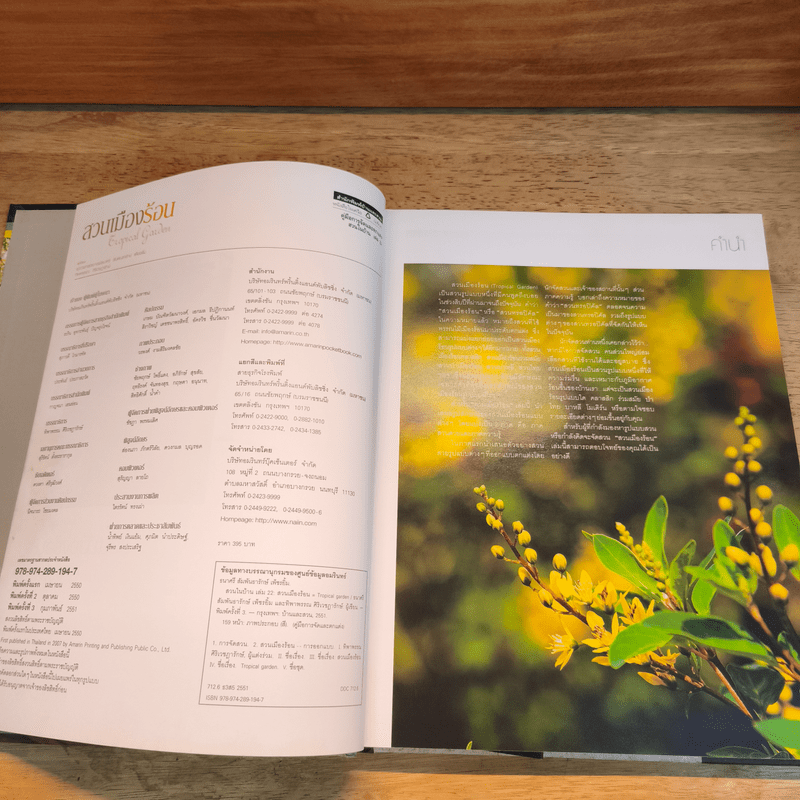 สวนเมืองร้อน Tropical Garden