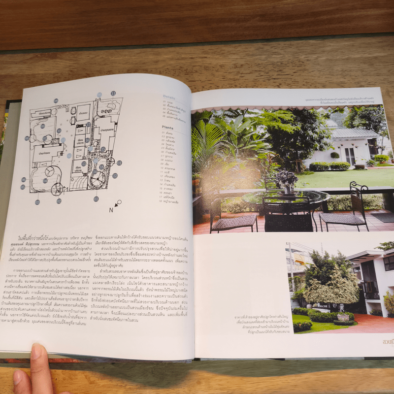 สวนเมืองร้อน Tropical Garden