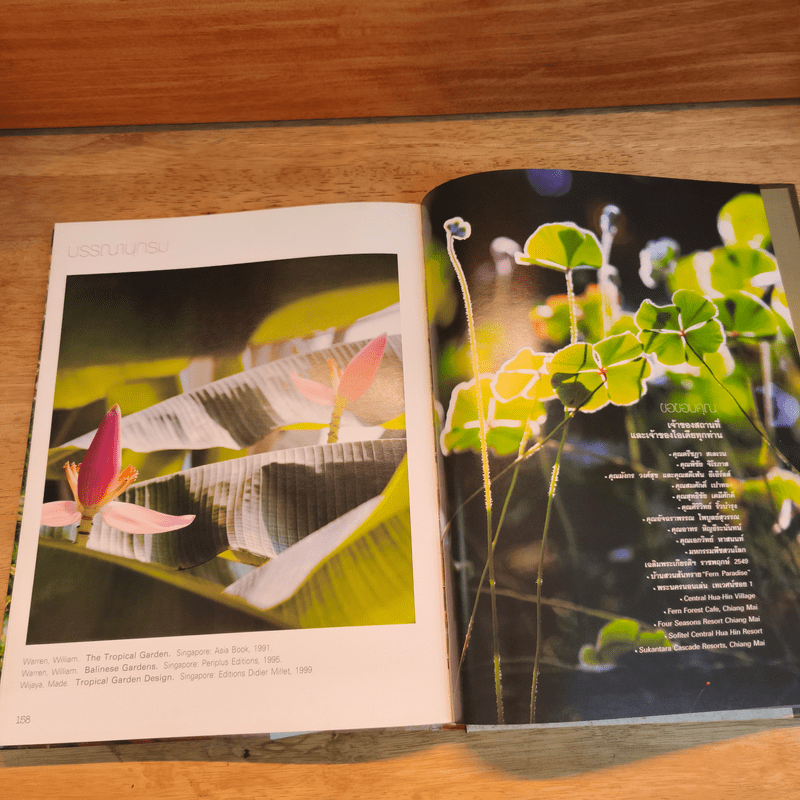 สวนเมืองร้อน Tropical Garden