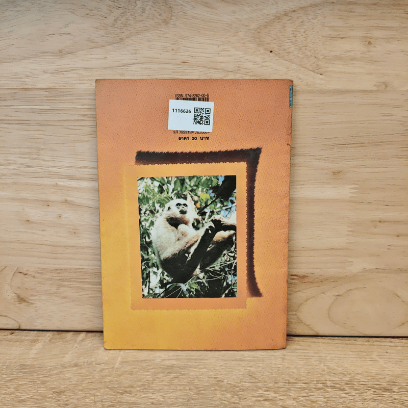 ชีวิตบ้านป่า - ประสิทธิ์ มุสิกเกษม