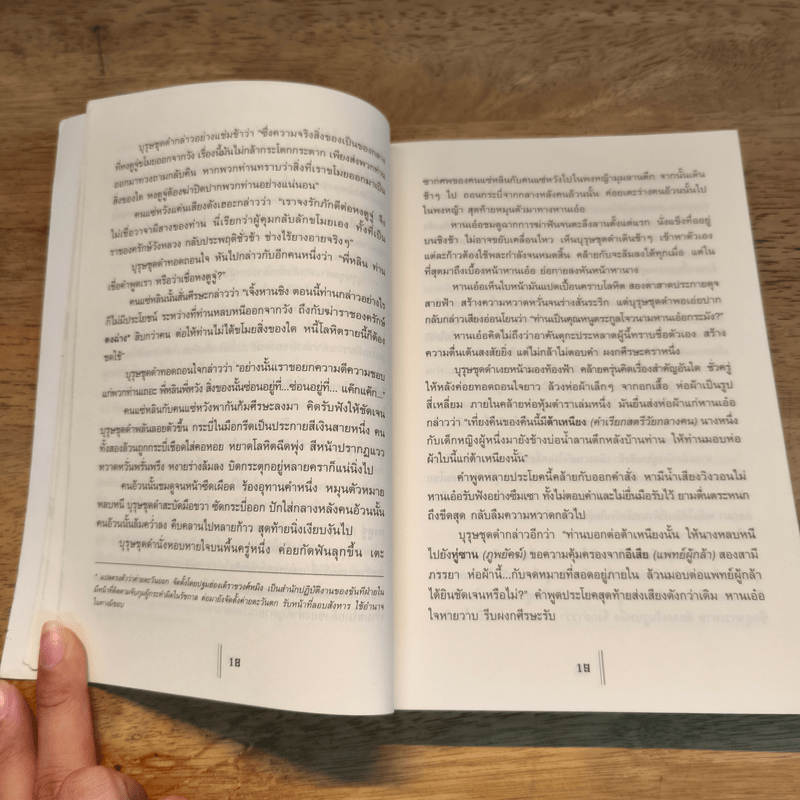 พยัคฆ์คู่ผงาดฟ้า เล่ม 1 - น.นพรัตน์