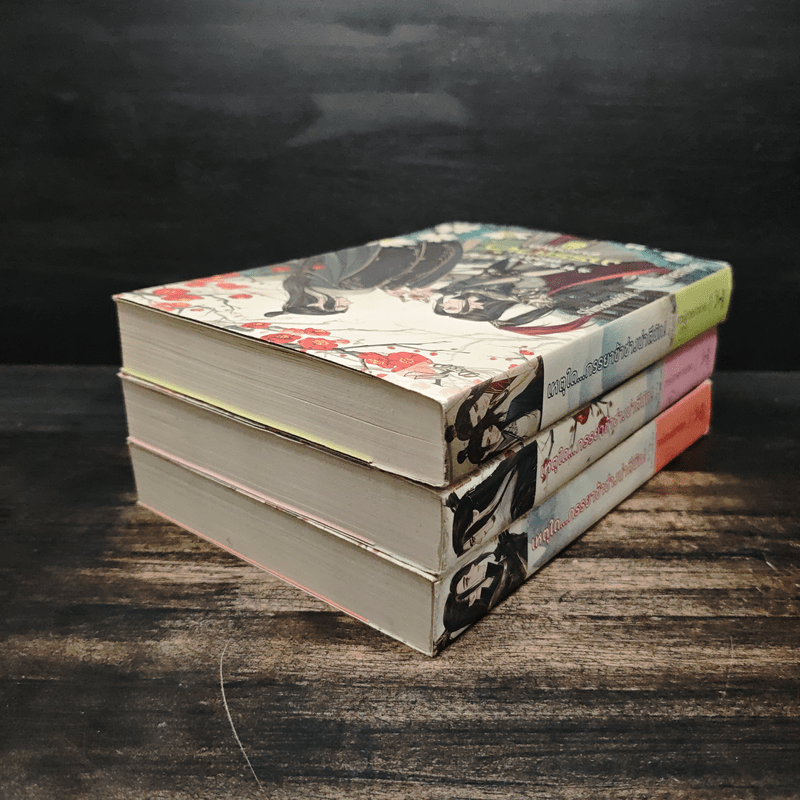 เหตุใด...ภรรยาข้าช่างน่าตีนัก 3 เล่มจบ - miimemine. 