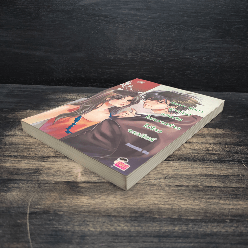 Sorry Sorry อุ๊ยตาย ขออภัยในความร้ายไม่ไหวจะเคลียร์ - หัวสมองตีบตัน