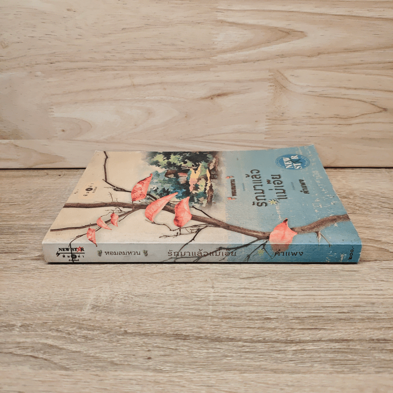 หอมลมหวน รักมาแล้วแม่เอ๊ย - คำแพง